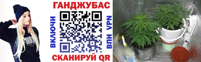 Виды наркотиков купить Плавск Бошки Шишки Меф ГАШ