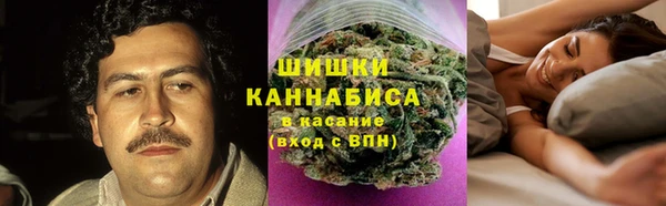 2c-b Вяземский