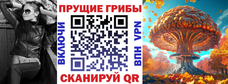 купить  цена  Плавск  Галлюциногенные грибы Psilocybe 